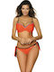 Set Bikini Push Up Brazil Orange