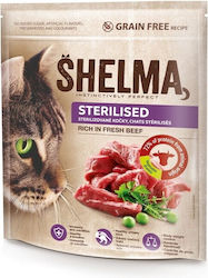 Shelma 1.4kg Shelma 1.4kg