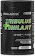 Skill Nutrition Tribulus + Shilajit 120 φυτικές κάψουλες