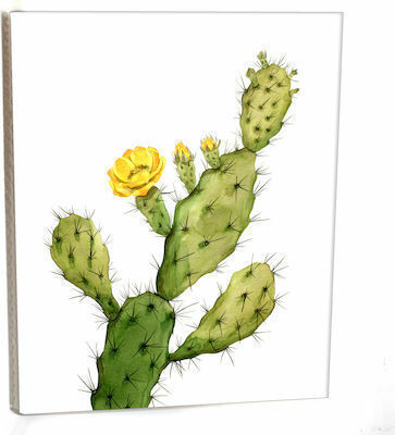 Албум Pocket Кутии 36 Снимки 13х18 Cactus