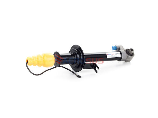 Aerosus Aerosus BMW Σειρά 7 E38 Hinteres Rechtes Stoßdämpfer Edc Einstellbare Luftfederung 1994 1995 1996 1997 1998 1999 2000 2001 165894 165894-1