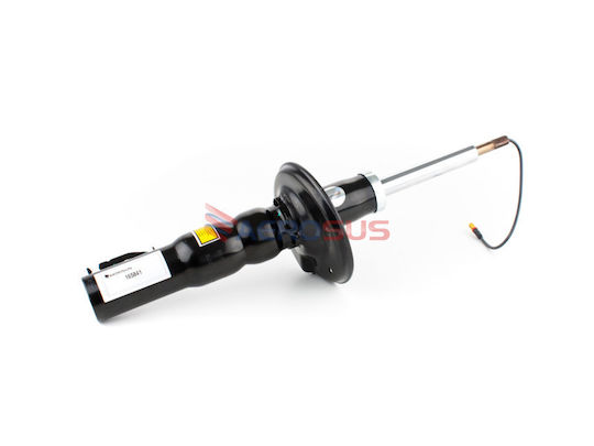 Aerosus Aerosus Rear Left Or Right Shock Absorber Porsche Cayman 987 Pasm 2005 2006 2007 2008 2009 2010 2011 2012 2013 165841 165841-2