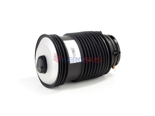 Aerosus Aerosus Mercedes Benz Eqc N293 Air Suspension Rear Right 2019 2020 2021 2022 2023 179031 179031-6