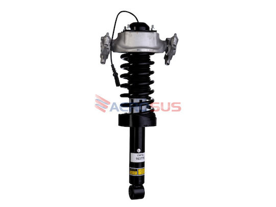 Aerosus Aerosus Ansamblu Primăvară Spate Stânga Suspensii Auto Porsche Ardei Iute Gts Pasm 2011 2012 2013 2014 2015 2016 2017 2018 163779 163779-2