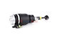 Aerosus Aerosus Ford Expedition Front Air Shock Absorber 2003 2006 2003 2004 2005 2006 165799 165799-2