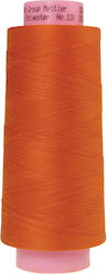 Seracor Thread 120 2500m C23 Color 1334