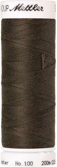 Seralon 100 Fäden 200m Farbe 1043