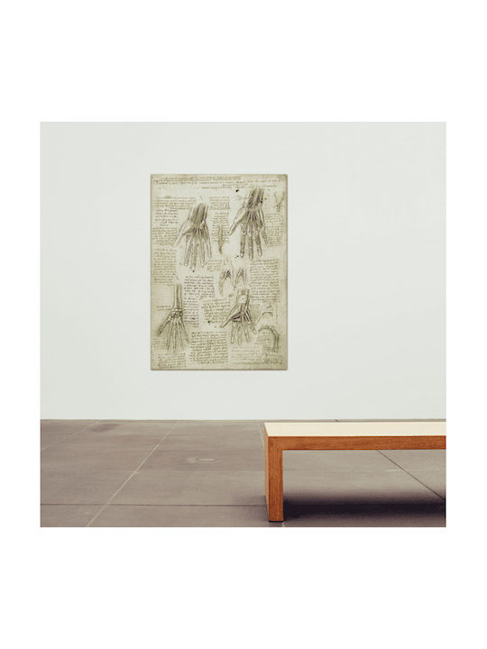 Καμβάς Leonardo Da Vinci Οστά Οι Μύες Οι Τένοντες Του Χεριού 46χ66