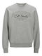 Sweat Sweatshirt Gray