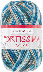 Wool Yarn Socks 4 Colors 439 M Scholler Fortiss...