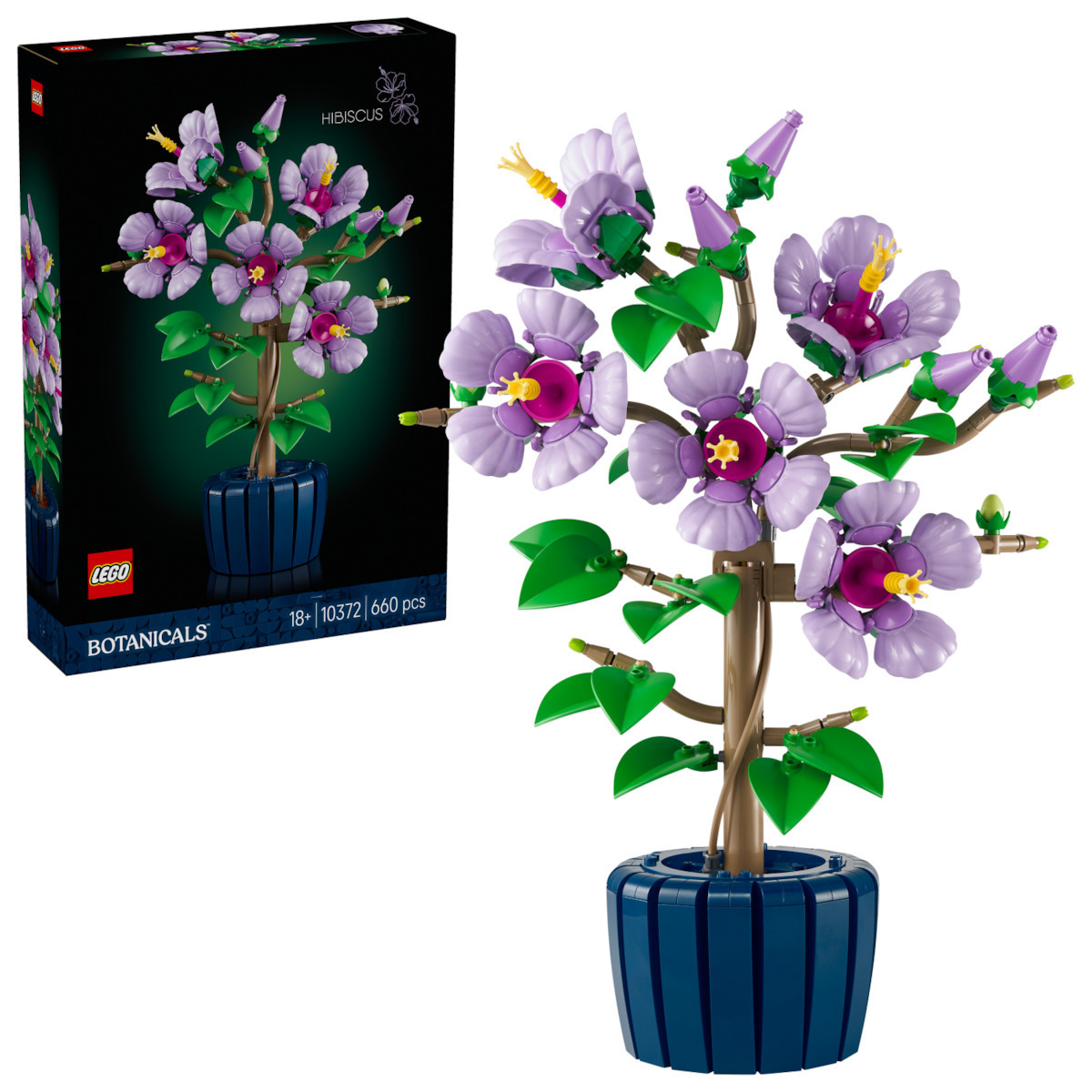 20250910162028_lego_botanical_