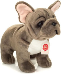 Teddy Σκυλάκι Hermann για 3+ Ετών 30 εκ. Teddy Σκυλάκι Hermann για 3+ Ετών 30 εκ.