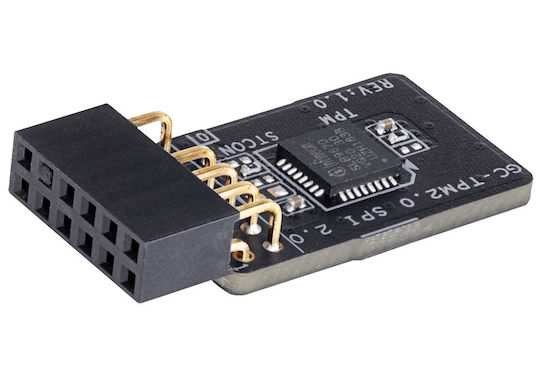 Gigabyte Gc-tpm2.0 Spi 2.0 Modul de Securitate