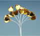 Blumen Dn09 Orange