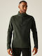 Sweater Olive Green