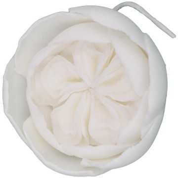 Austin Rose Edible Decorative Flower 6cm Non Edible In EU