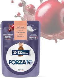 Forza10 Hrană Umedă 80gr Forza10 Hrană Umedă 80gr