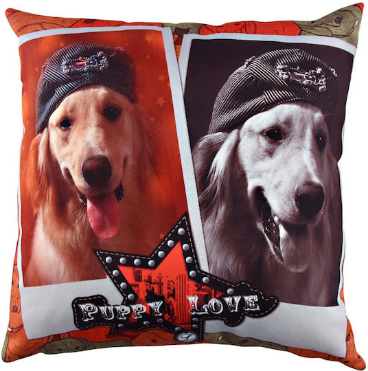 Aberto Design Sofa Cushion Multi 43x43cm.