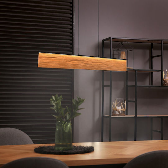 Trio Lighting Kalea Pendant Light