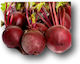 Evotris Samen Rote Bete Detroit Rot 500gr