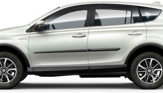 Toyota Genuine Set 4 Front Rear Black Door Protection Accessories Rav-4 12'-17' 5-Door