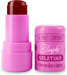 The Fruit Company Rouge & Blush Stick 03 Himbeere