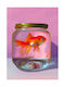 Πόστερ Fish Ροζ Πορτοκαλί 50 X 70 Paper Collective