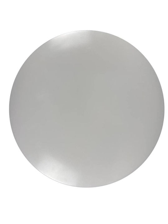 Optonica Ceiling Mount Light with Integrated LED