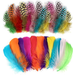 Set 300 Pene Decorativ Colorate pentru Creații DIY 8-12 Cm Pene Naturale de Gâscă Ornamente Decorare Proiecte Creative