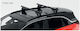 Menabo 120cm. 2017+ (with Roof Rack Legs) Black