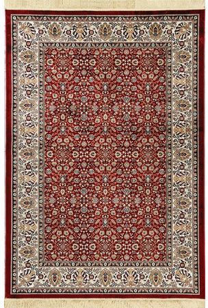 Newplan 240/301220 Rug Rectangular with Fringes Sonia