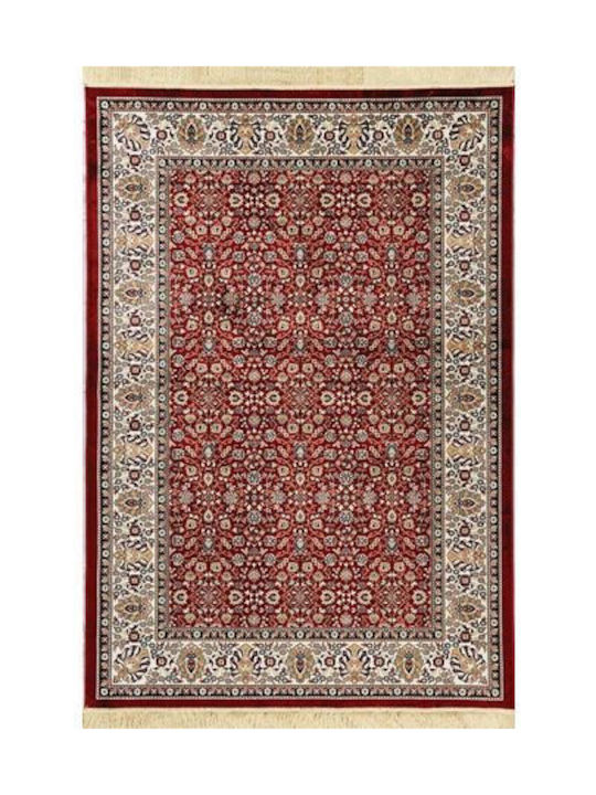 Newplan 240/301220 Rug Rectangular with Fringes Sonia