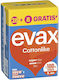 Evax Sanitary Pads with Wings 36pcs
