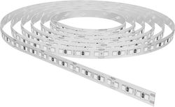 Braytron Ταινία LED 24V Θερμό Λευκό Braytron Ταινία LED 24V Θερμό Λευκό