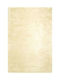 Eurofil Χαλί Ορθογώνιο Beige 160x230cm