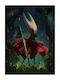 Poster Pentru Copii 40x30cm