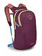 Osprey Daylite 13lt Burgundy
