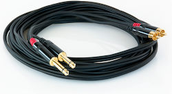 Master Audio 3.5mm male-2x RCA male 5m MAS00037