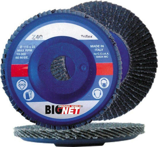 Bignet Grinding Disc Flap L125 Z080 Tnp