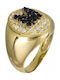 Damen Chevalier Ring mit Zirkonia aus Gold 14K