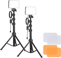 Set Studio Neewer Bp66 Două Lămpi Led + Filtre + Trepiede 078444