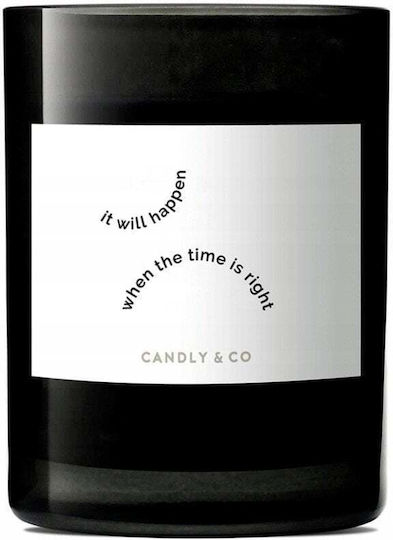 Candly & Co. Soja in Gefäß Schwarzes
