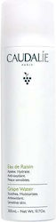 Caudalie Grape Face Mist Τόνωσης Προσώπου 300ml