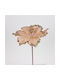 Magnolia Solomon Champagne Details 26x45cm