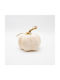 Ornament suspendat Dovleac Ecru 12x15buc