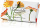La Dispensa Herbal Soap 100gr Soaps Marigold Multicolored