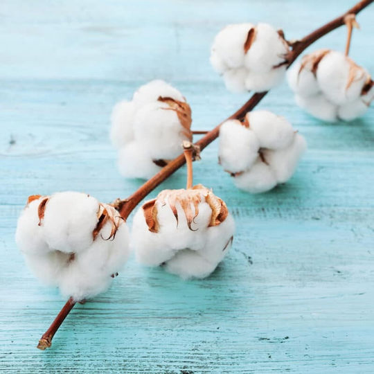 Άρωμα για Κερί Fresh Cotton 100gr
