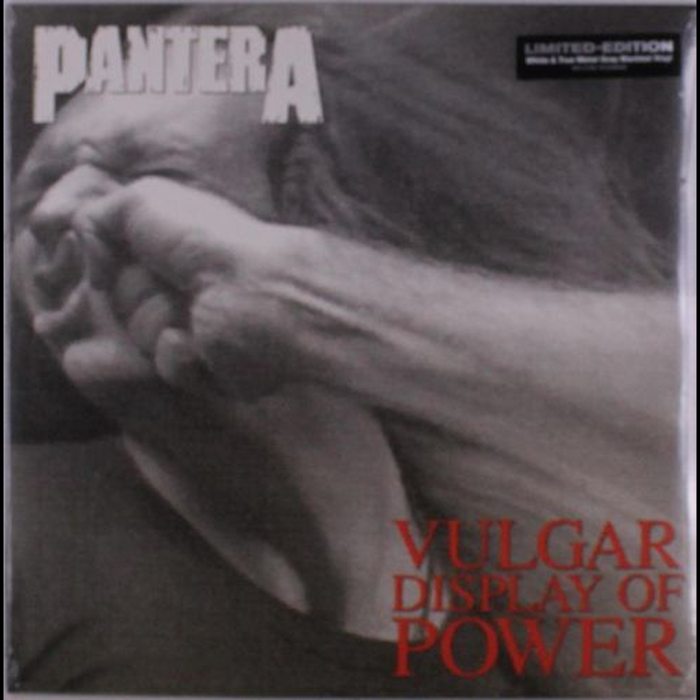 20250922093128_pantera_vulgar_