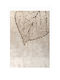 Tzikas Carpets Creation 74300-260 Χαλί Ορθογώνιο 74300-260 200x250cm