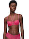 Fuchsia Sutien